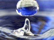 РусГидро и французская компания «Degremont» подписали меморандум о сотрудничестве в области водоподготовки и очистки воды