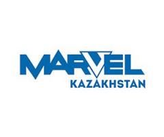 Marvel Kazakhstan (Марвел Казахстан) стала дистрибьютором мониторов ViewSonic