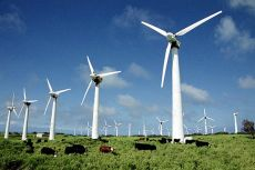 В Луганской области появится ветропарк мощностью в 400 МВт