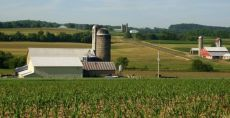 Сырная сыворотка – источник качественного биогаза