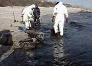 Разливы нефти на море и на суше – проблемы и решения