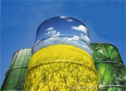Германия поможет Украине наладить производство биотоплива
