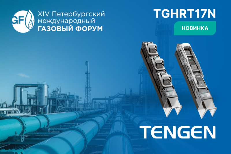 Тенген Электрик представит новинку на ПМГФ-2025: ПВР серии TGHRT17N